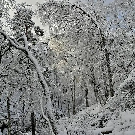 Sognevegen 2242 * Haugsvaer