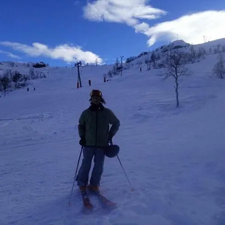 Sognevegen 2242 Haugsvaer