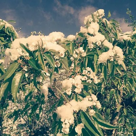 Sognevegen 2242 Apartment