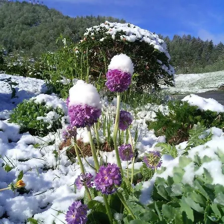 شقة Sognevegen 2242