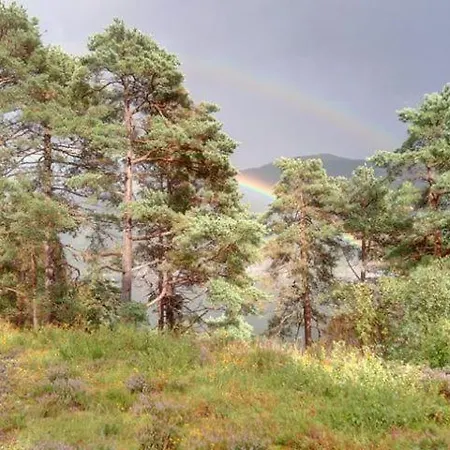Sognevegen 2242