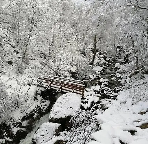 Sognevegen 2242 Lägenhet