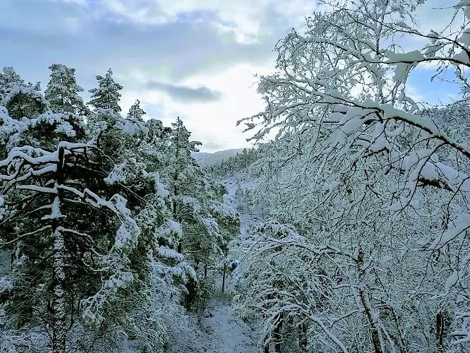 Sognevegen 2242 Lägenhet *