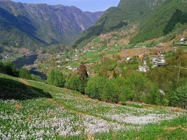 Lägenhet Sognevegen 2242 *