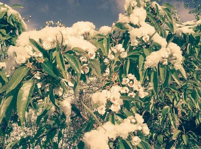 Sognevegen 2242 Lägenhet