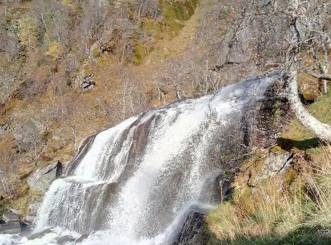 Lägenhet Sognevegen 2242 *