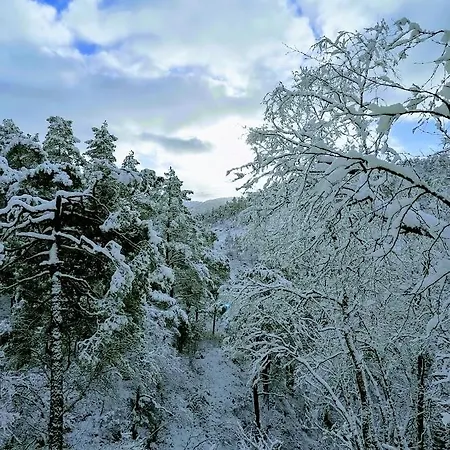 Sognevegen 2242 Appartement *