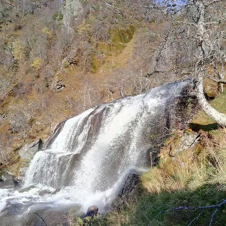 Appartement Sognevegen 2242 *